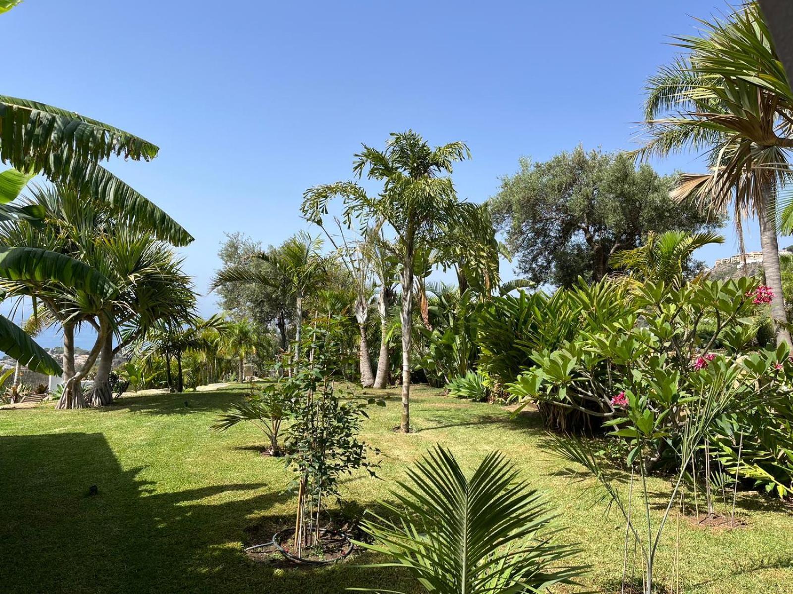 Bed & Breakfast In Villa Eden Palm بينالماذينا المظهر الخارجي الصورة